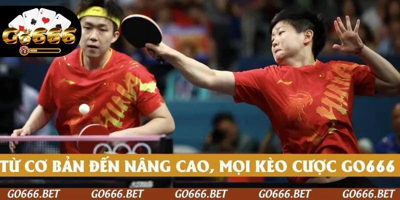 Từ cơ bản đến nâng cao, mọi kèo cược đều có tại Bóng bàn GO666