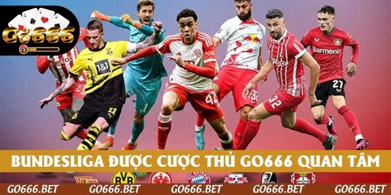 Bundesliga luôn được các cược thủ GO666 quan tâm